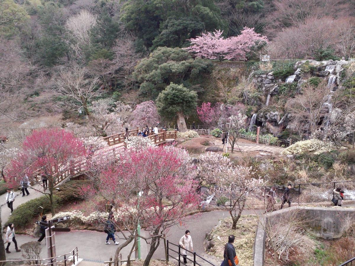 Tkp Lectore Atami Momoyama Exterior foto